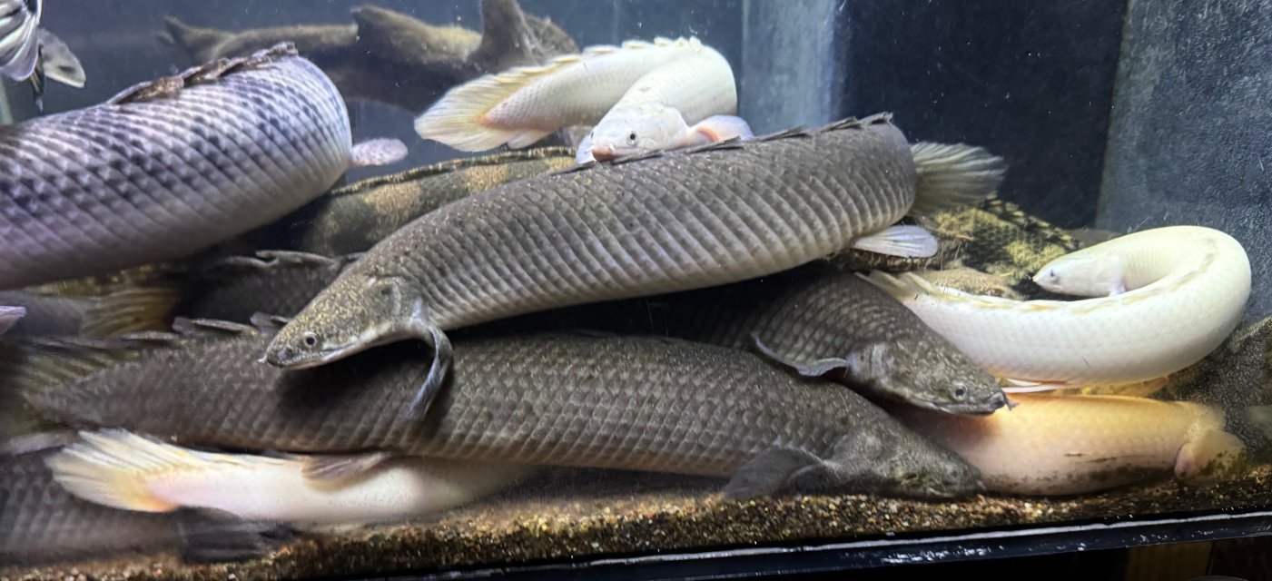 IMG_5917.jpeg IMG_5917.jpeg