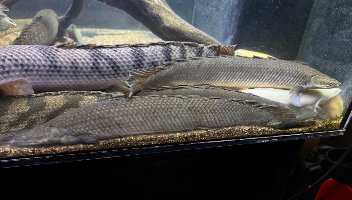 IMG_5927.jpeg IMG_5927.jpeg