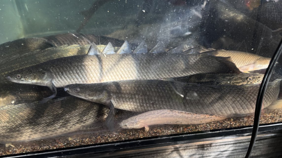 IMG_6347.jpeg IMG_6347.jpeg