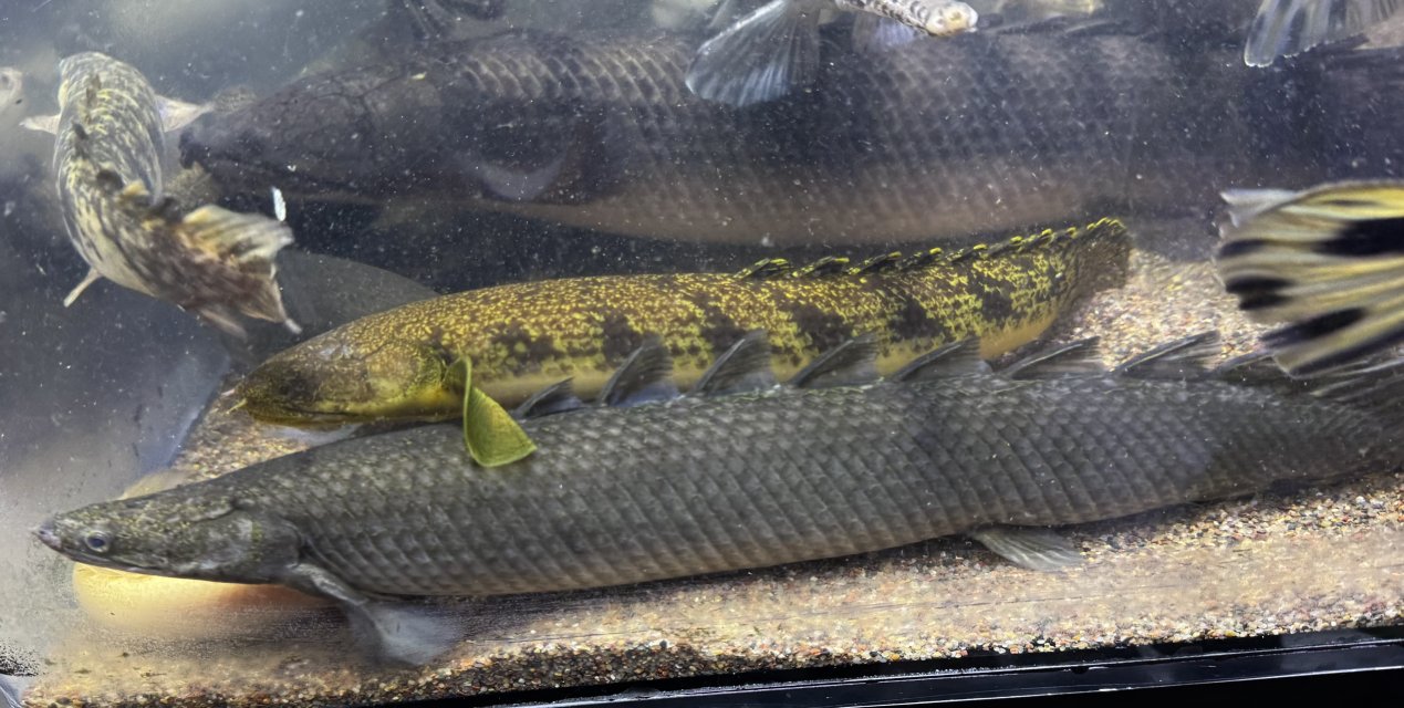 IMG_6508.jpeg IMG_6508.jpeg