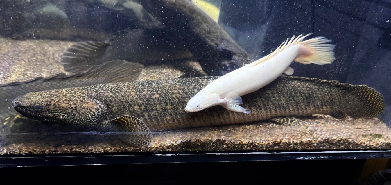 IMG_4263.jpeg IMG_4263.jpeg