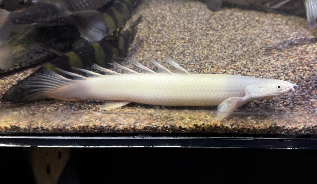 IMG_7739.jpeg IMG_7739.jpeg