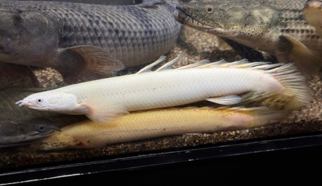 IMG_8129.jpeg IMG_8129.jpeg