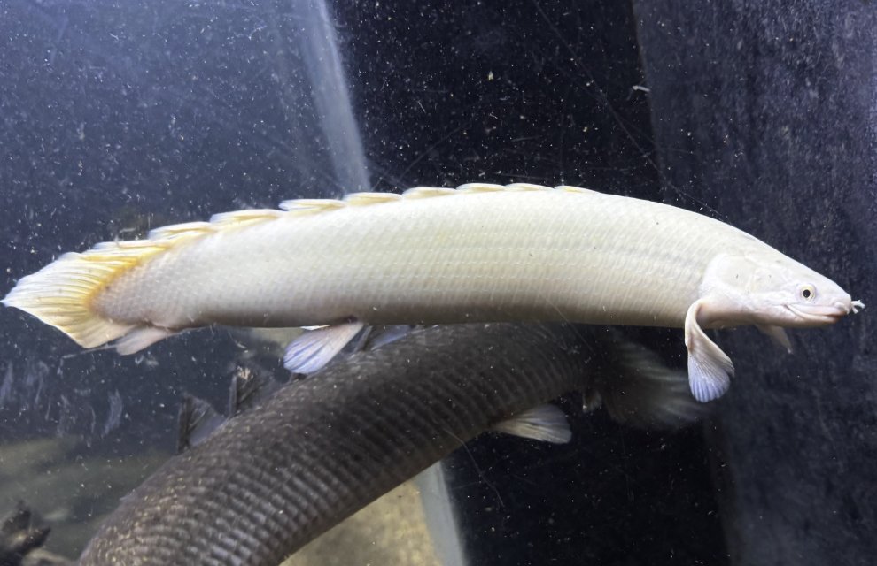 IMG_8127.jpeg IMG_8127.jpeg