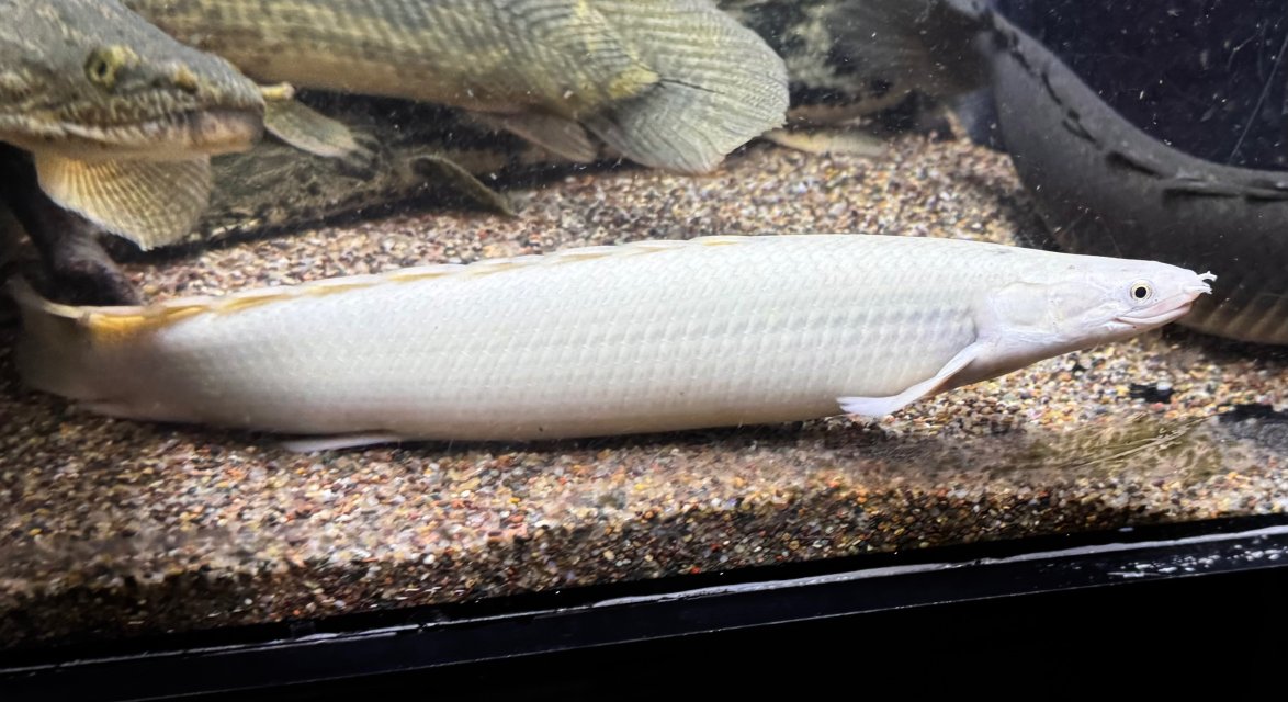 IMG_8135.jpeg IMG_8135.jpeg