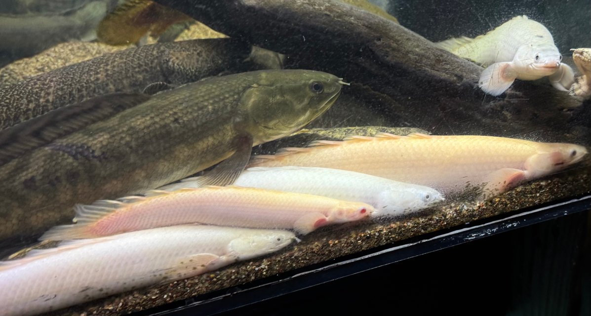 IMG_6400.jpeg IMG_6400.jpeg