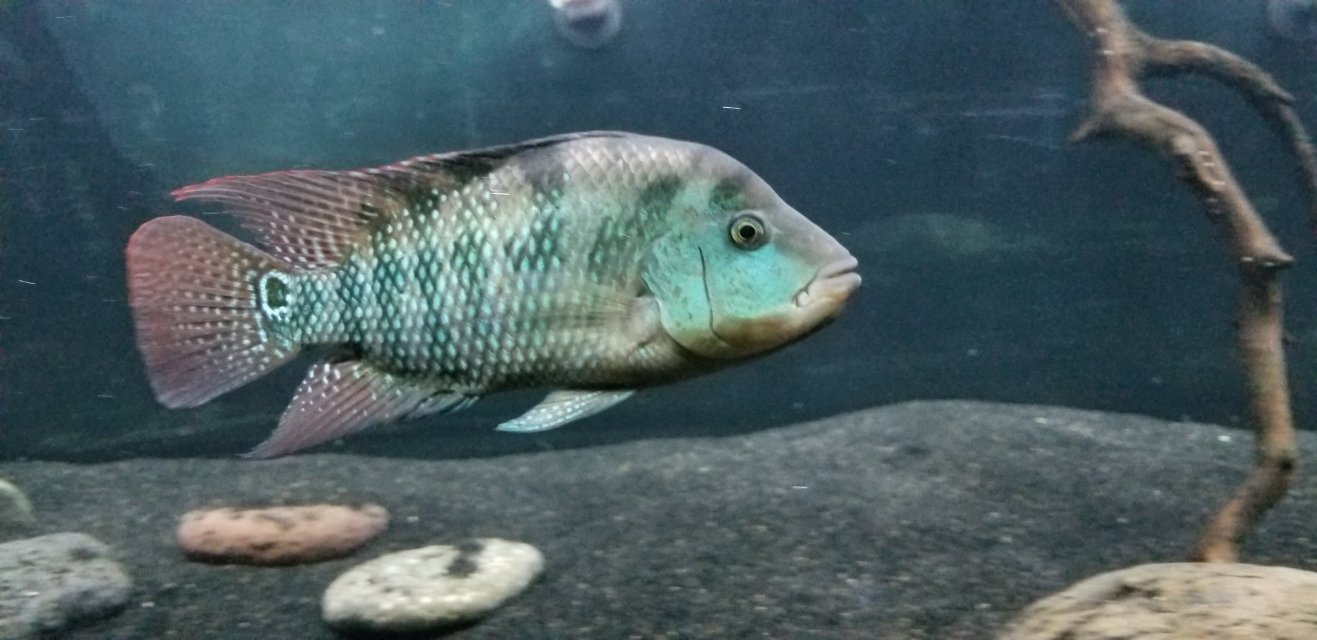 20190601_221719.jpg 20190601_221719.jpg