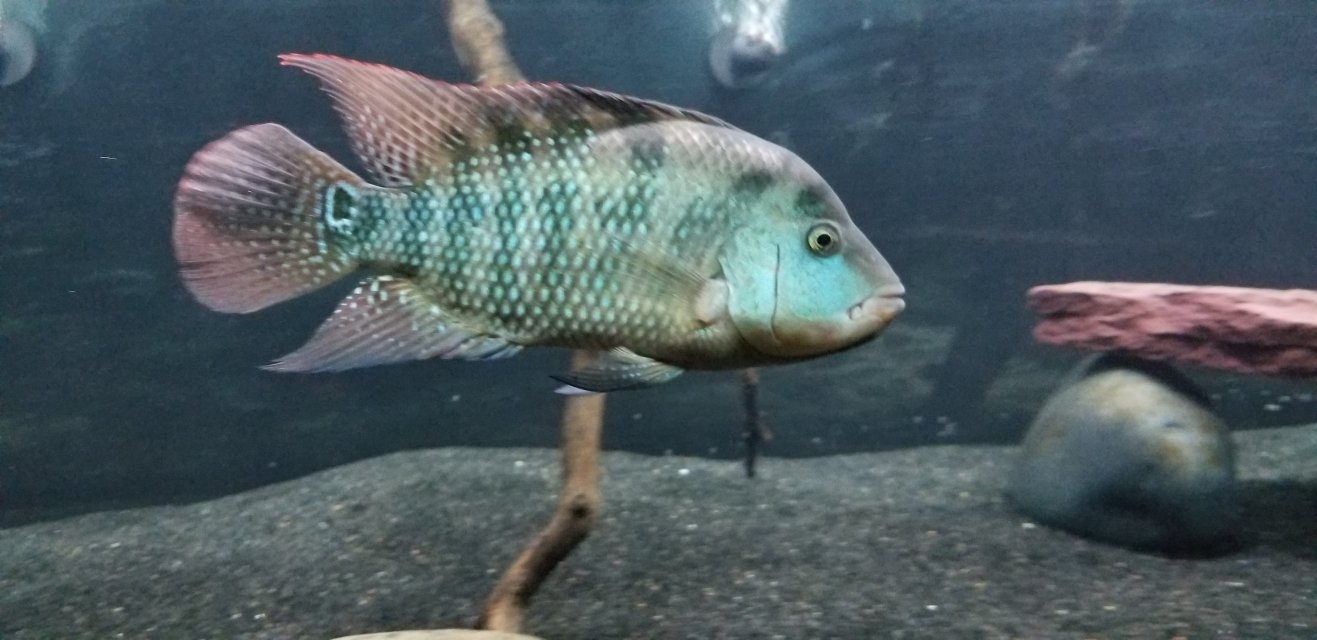 20190601_221721.jpg 20190601_221721.jpg