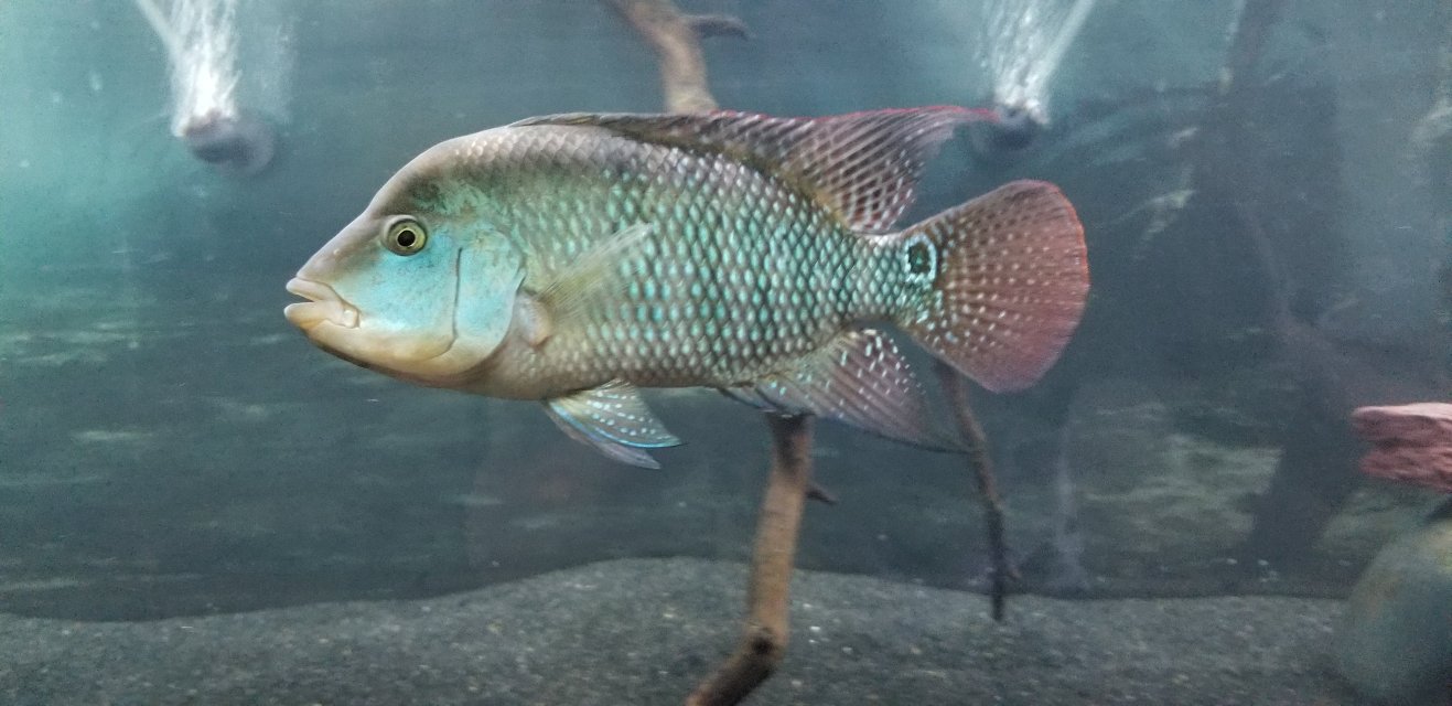 20190601_180425.jpg 20190601_180425.jpg