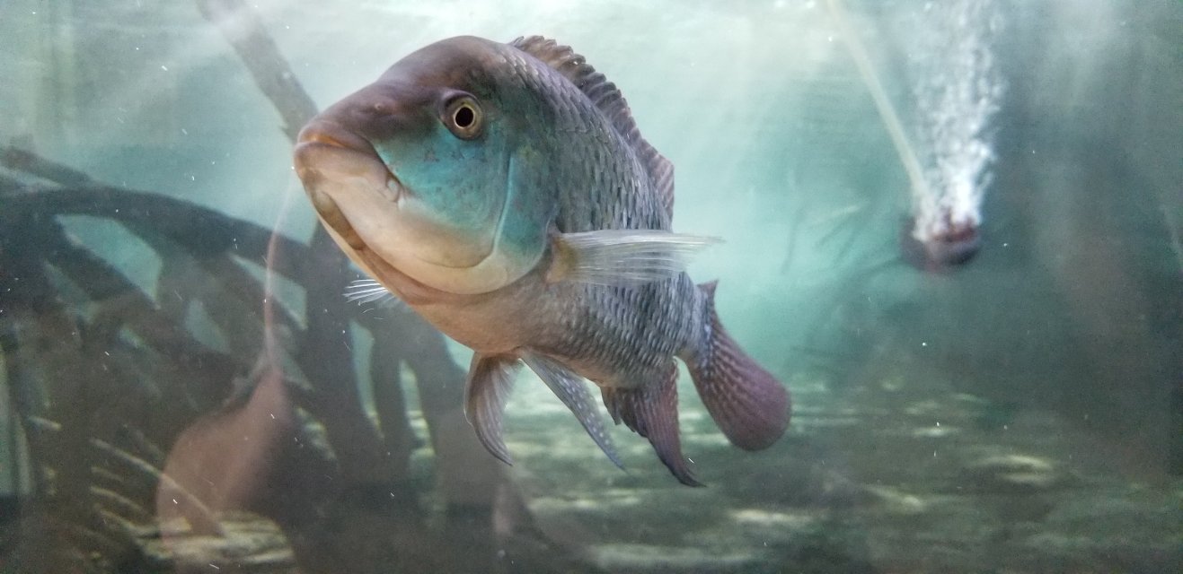 20190602_144831.jpg 20190602_144831.jpg