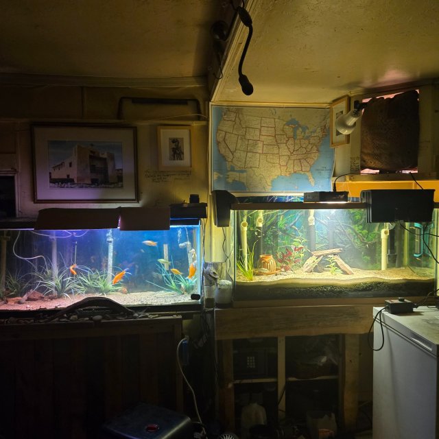 1000006026.jpg 1000006026.jpg