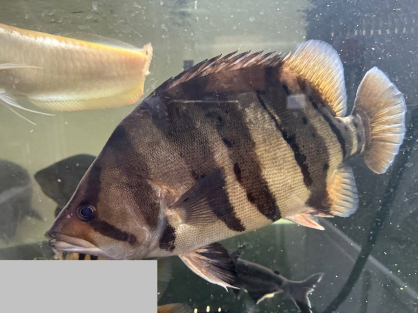 IMG_0597.jpeg IMG_0597.jpeg