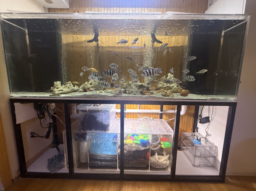 360gtank1.jpg 360gtank1.jpg