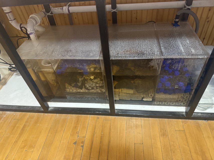 300gallon3.JPG 300gallon3.JPG