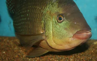 1765741504239.png 1765741504239.png