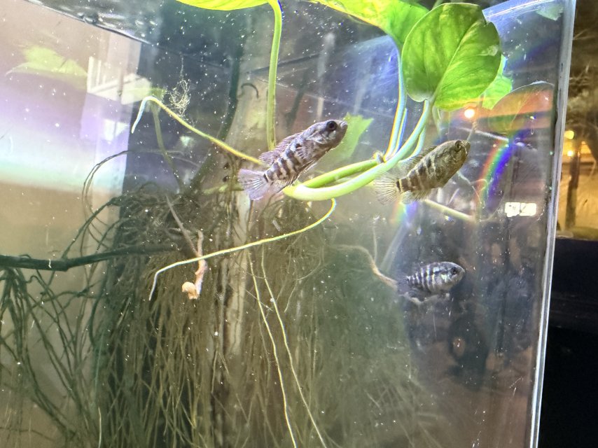 IMG_0352.jpeg IMG_0352.jpeg