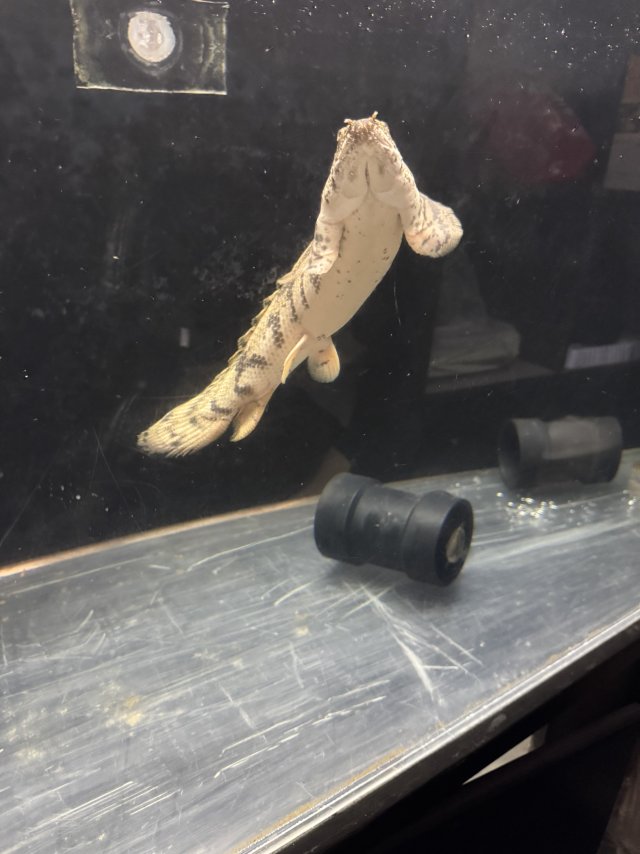 IMG_2427.jpeg IMG_2427.jpeg