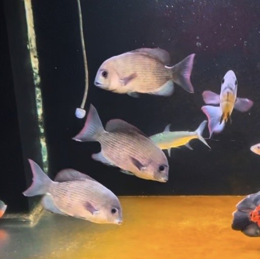 IMG_6725.jpeg IMG_6725.jpeg