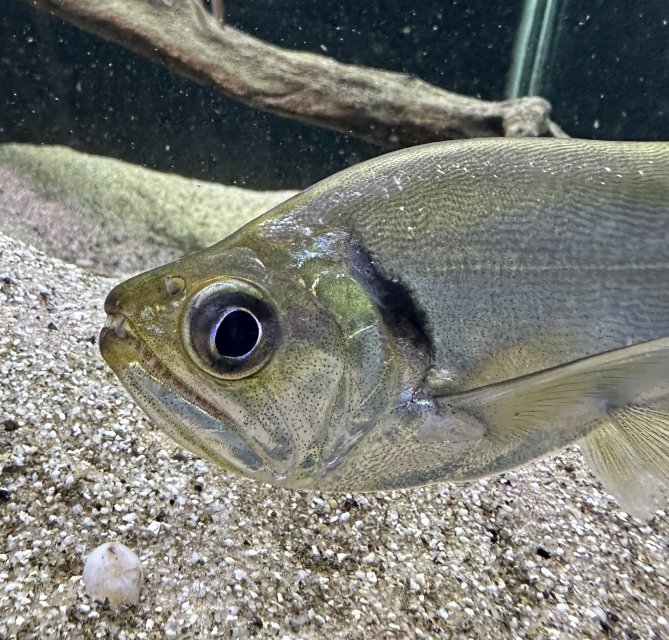 tatt 2.jpeg tatt 2.jpeg