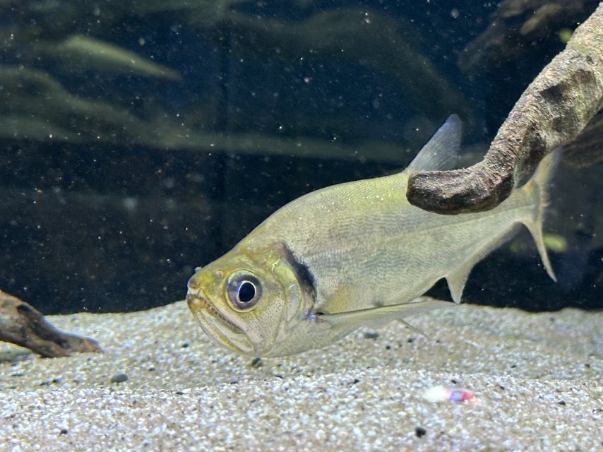 tatt 3.jpeg tatt 3.jpeg