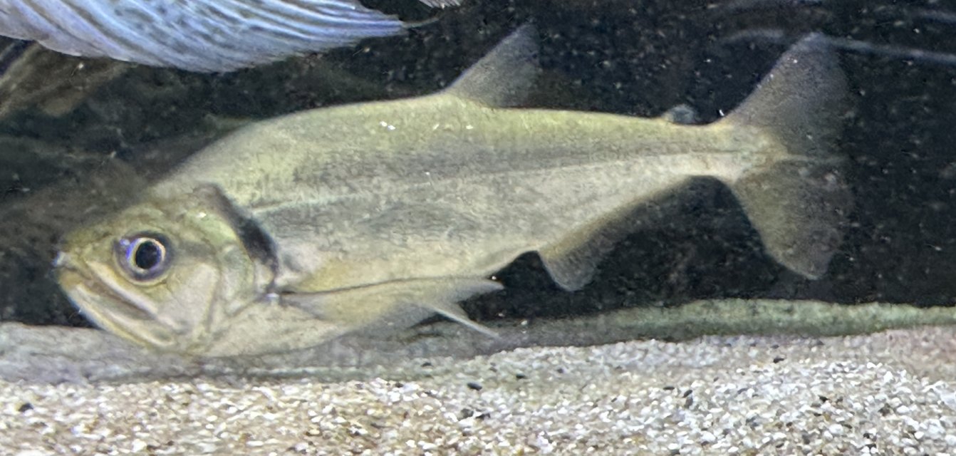 tatt 5.jpeg tatt 5.jpeg