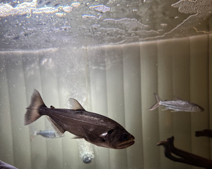 IMG_7499.jpeg IMG_7499.jpeg