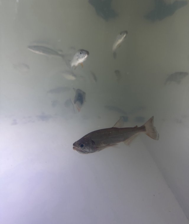 IMG_7611.jpeg IMG_7611.jpeg