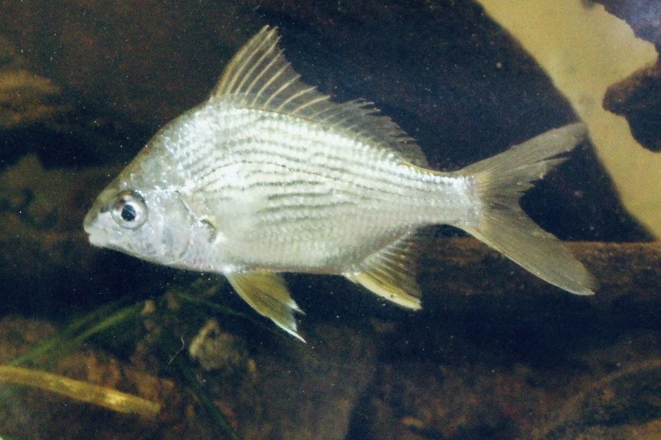 IMG_0347.jpeg IMG_0347.jpeg