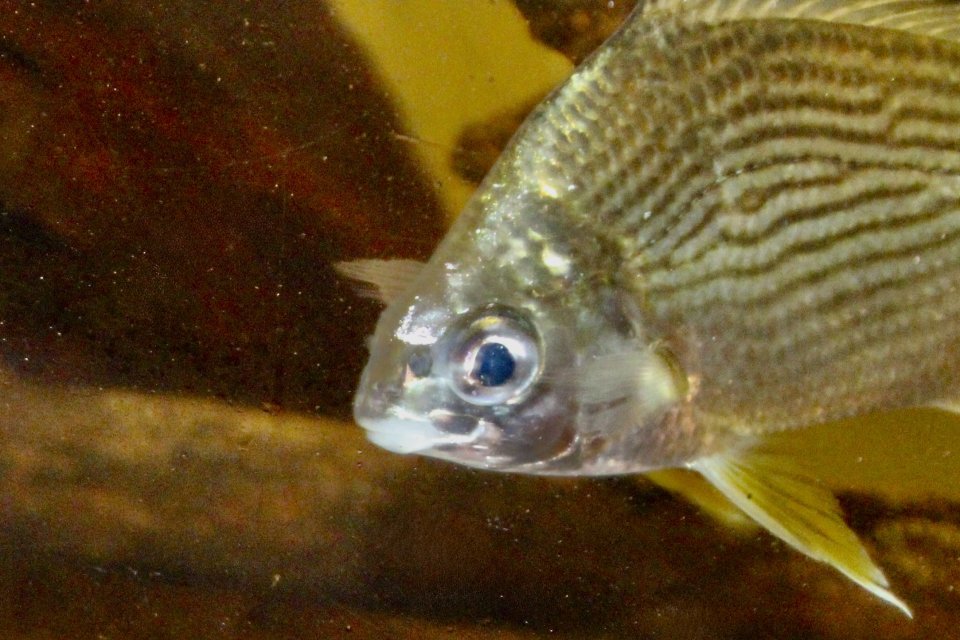 IMG_0368.jpeg IMG_0368.jpeg