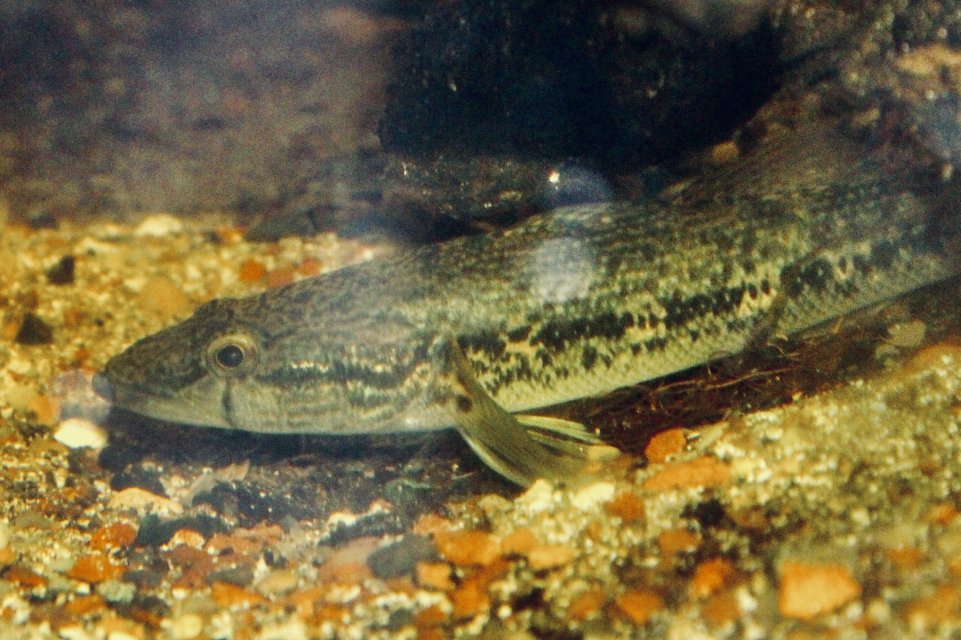 IMG_0395.jpeg IMG_0395.jpeg