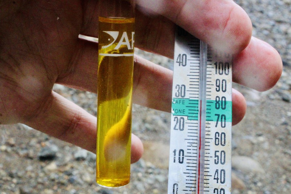 IMG_0284.jpeg IMG_0284.jpeg