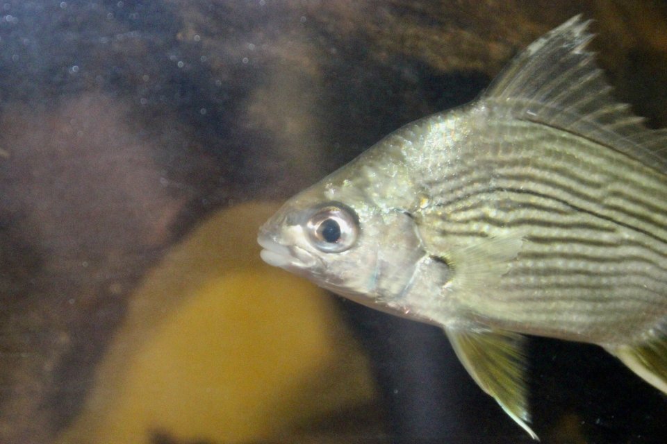 IMG_0467.jpeg IMG_0467.jpeg