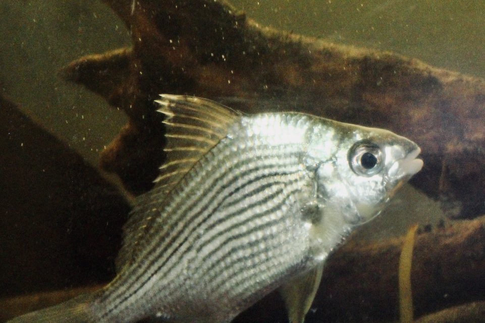 IMG_0472.jpeg IMG_0472.jpeg