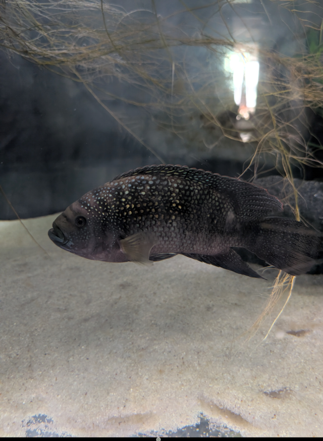 1000012178.png 1000012178.png