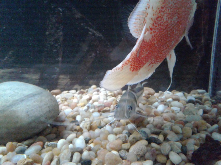 20180830_172323.jpg 20180830_172323.jpg