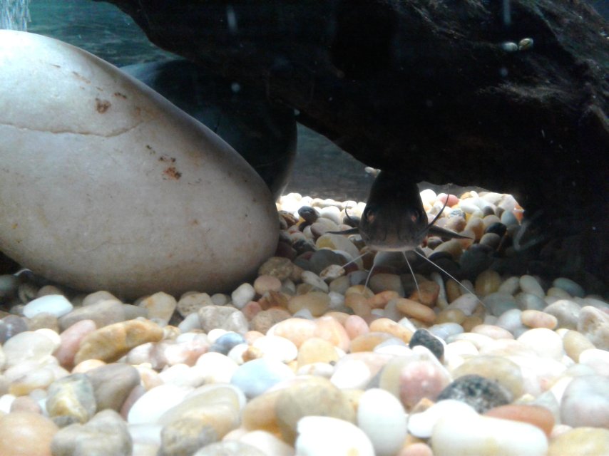 20180905_091131.jpg 20180905_091131.jpg