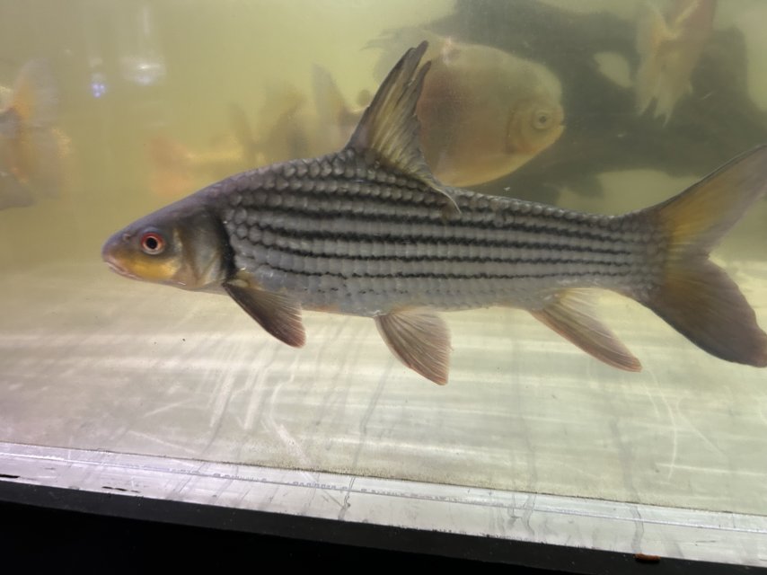 IMG_1584.jpeg IMG_1584.jpeg