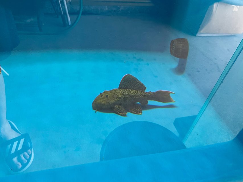 IMG_3530.jpeg IMG_3530.jpeg