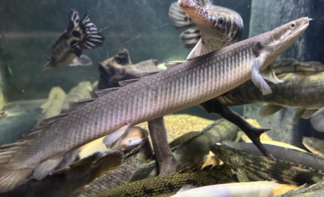 IMG_9276.jpeg IMG_9276.jpeg