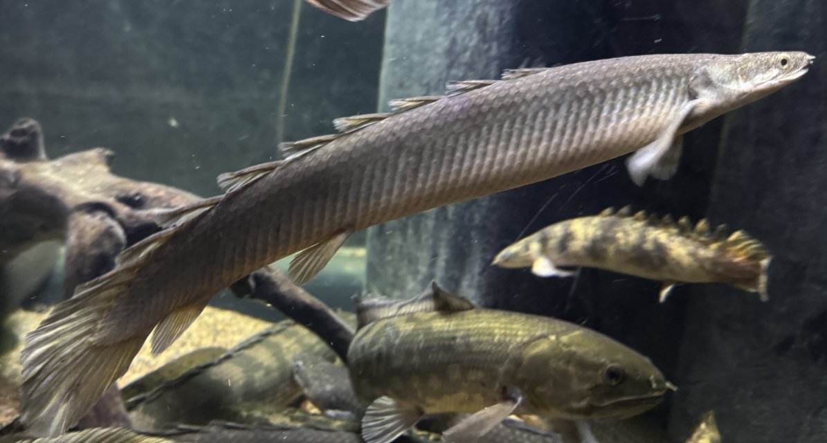 IMG_9282.jpeg IMG_9282.jpeg