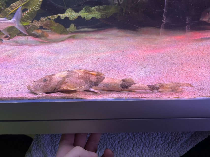 IMG_1436.jpeg IMG_1436.jpeg