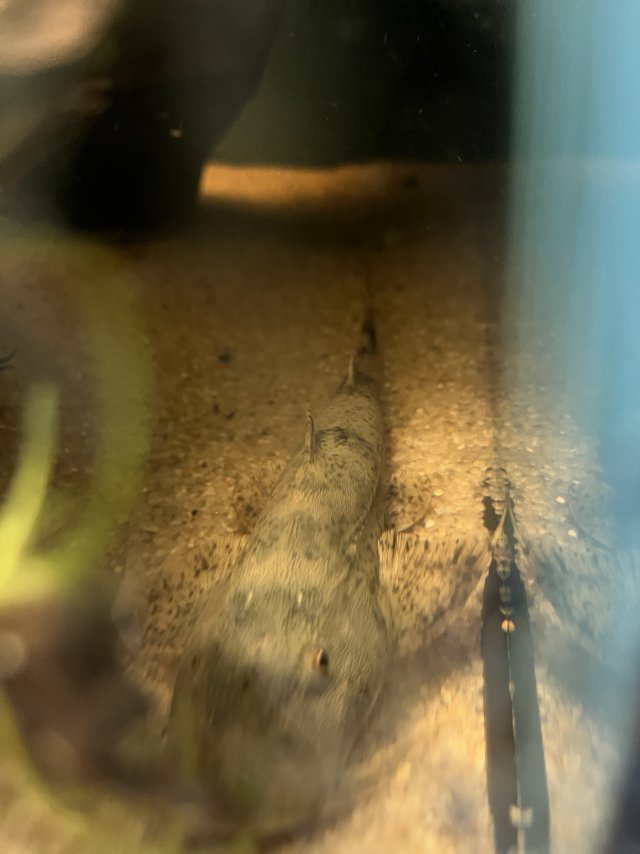 IMG_1560.jpeg IMG_1560.jpeg