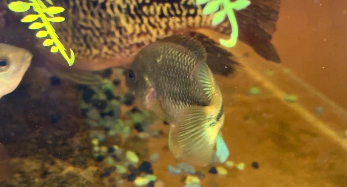 IMG_0280.jpeg IMG_0280.jpeg