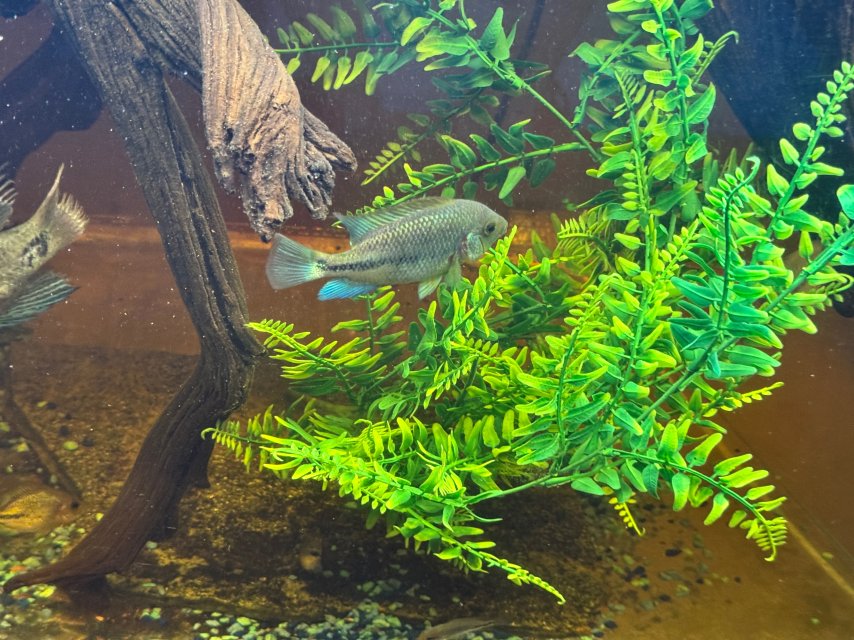 IMG_0292.jpeg IMG_0292.jpeg