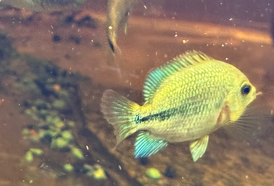 IMG_0296.jpeg IMG_0296.jpeg