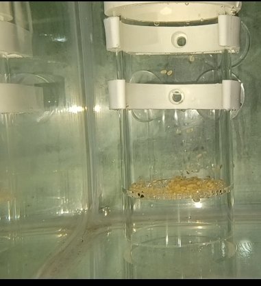 Screenshot_20251219_084923_Editor Lite.jpg