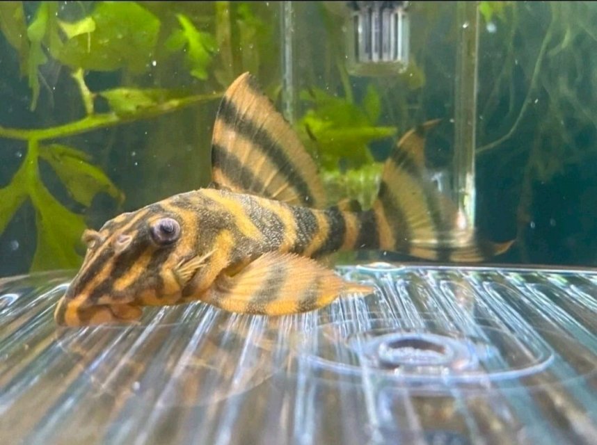 1000057467.jpg 1000057467.jpg