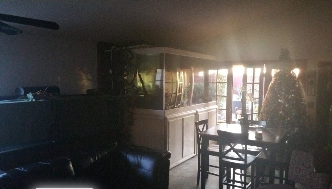 1000057021.jpg 1000057021.jpg