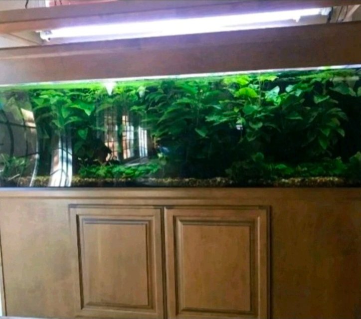 1000057465.jpg 1000057465.jpg