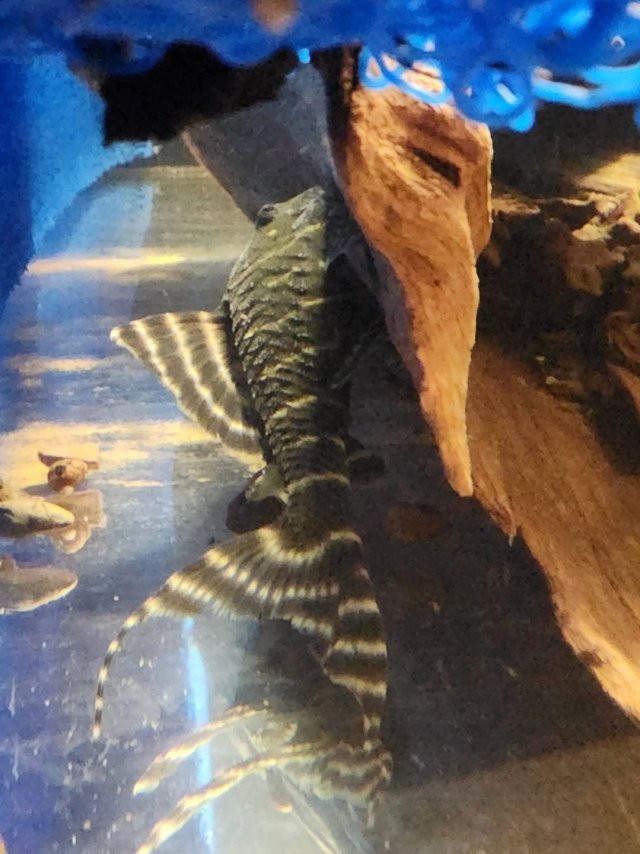 1000057483.jpg 1000057483.jpg